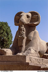 Die Tempelanlagen vonb Karnak <br>Bild 9/69