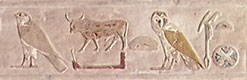 Beispiel des Horus-Names von Thutmosis III. | Deir el-Bahari, Tempel der Hatschepsut, Untere Anubis-Halle | Foto: Sabrina | Reiner | CC BY-SA