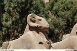 Die Tempelanlagen vonb Karnak <br>Bild 7/69