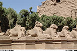Die Tempelanlagen vonb Karnak <br>Bild 8/69