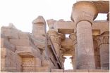 Der Doppeltempel von Kom Ombo<br>Bild 58/68