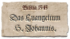 Das Evangelium nach Johannes