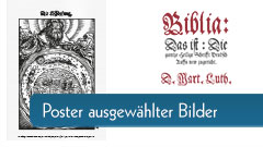 Poster ausgewählter Bilder