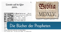 Die Bücher der Propheten