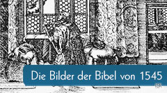 Titelbild zum Psalter