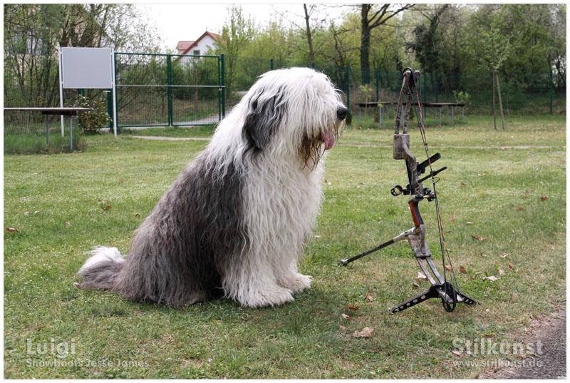 Luigi beim Bogensport | Foto 15