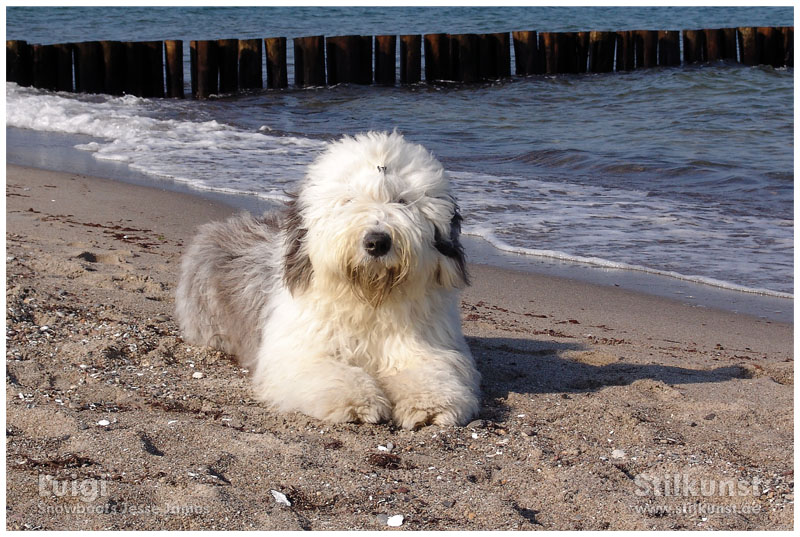 Luigi in Heiligendamm