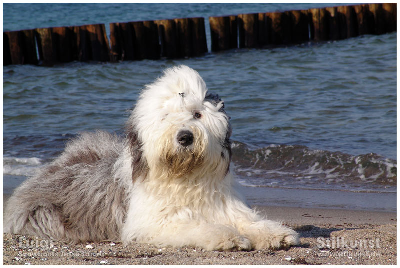 Luigi in Heiligendamm