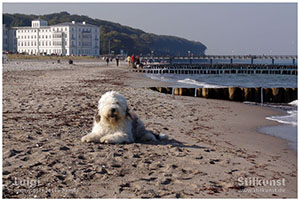 Luigi in Heiligendamm