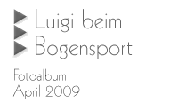 Luigi beim Bogensport