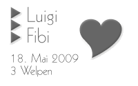 Luigi & Fibi