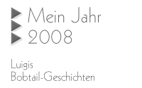 Zur Geschichte: Mein erfolgreiches Jahr 2008