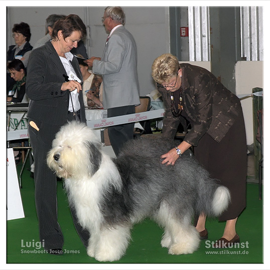 Luigis 1. Platz in Saarbrücken