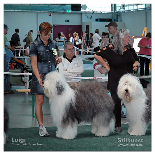 Luigis 1. Platz in Saarbrücken