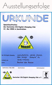 Urkunde Best of Breed Spezialzuchtschau des DOESC am 12. Mai 2008 in Saarbrücken