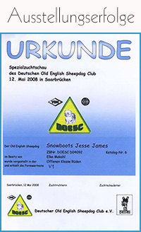 Urkunde V1 Spezialzuchtschau des DOESC am 12. Mai 2008 in Saarbrücken
