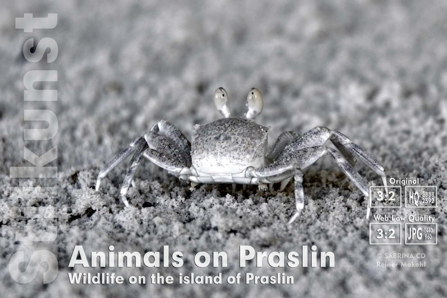 Tierwelt auf Praslin