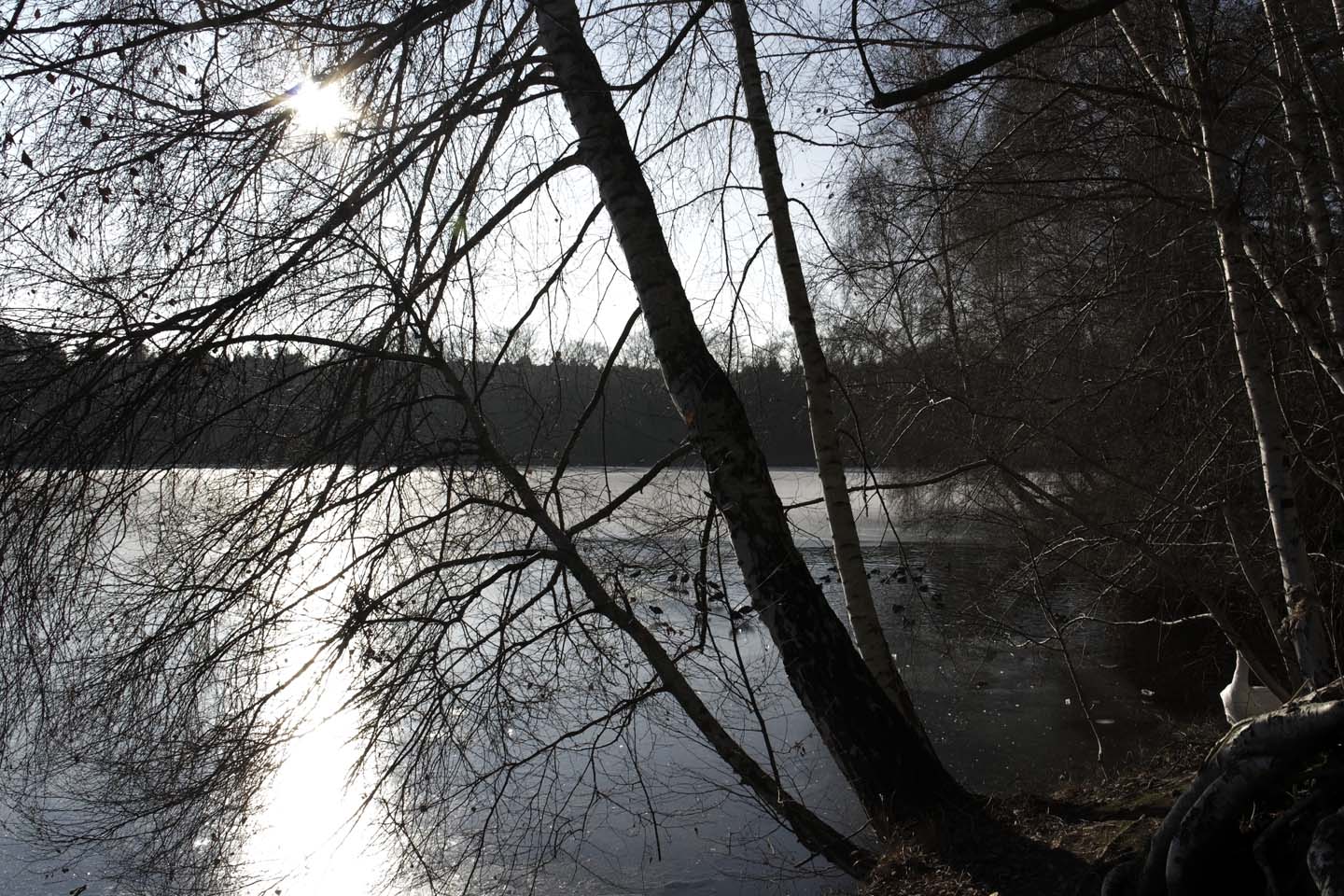 Bild 4: Lindensee | Lake Lindensee
