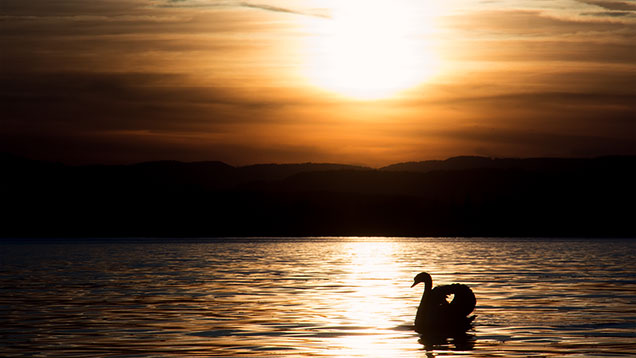 Abendstimmung | ©by Sabrina Reiner | CC-BY-SA