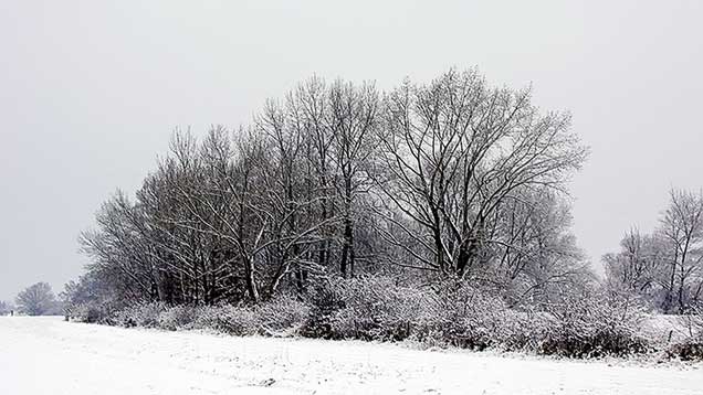 Winter | Winterlandschaft