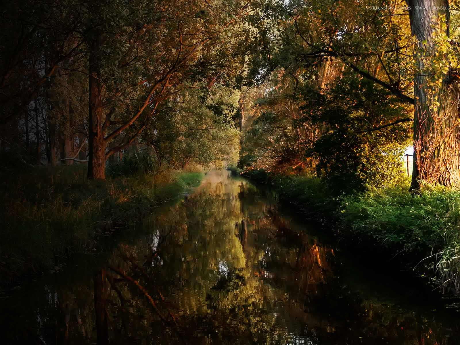 Farben im Herbst | 1600 x 1200px | Bild: ©by Sabrina | Reiner | www.stilkunst.de | Lizenz: CC BY-SA