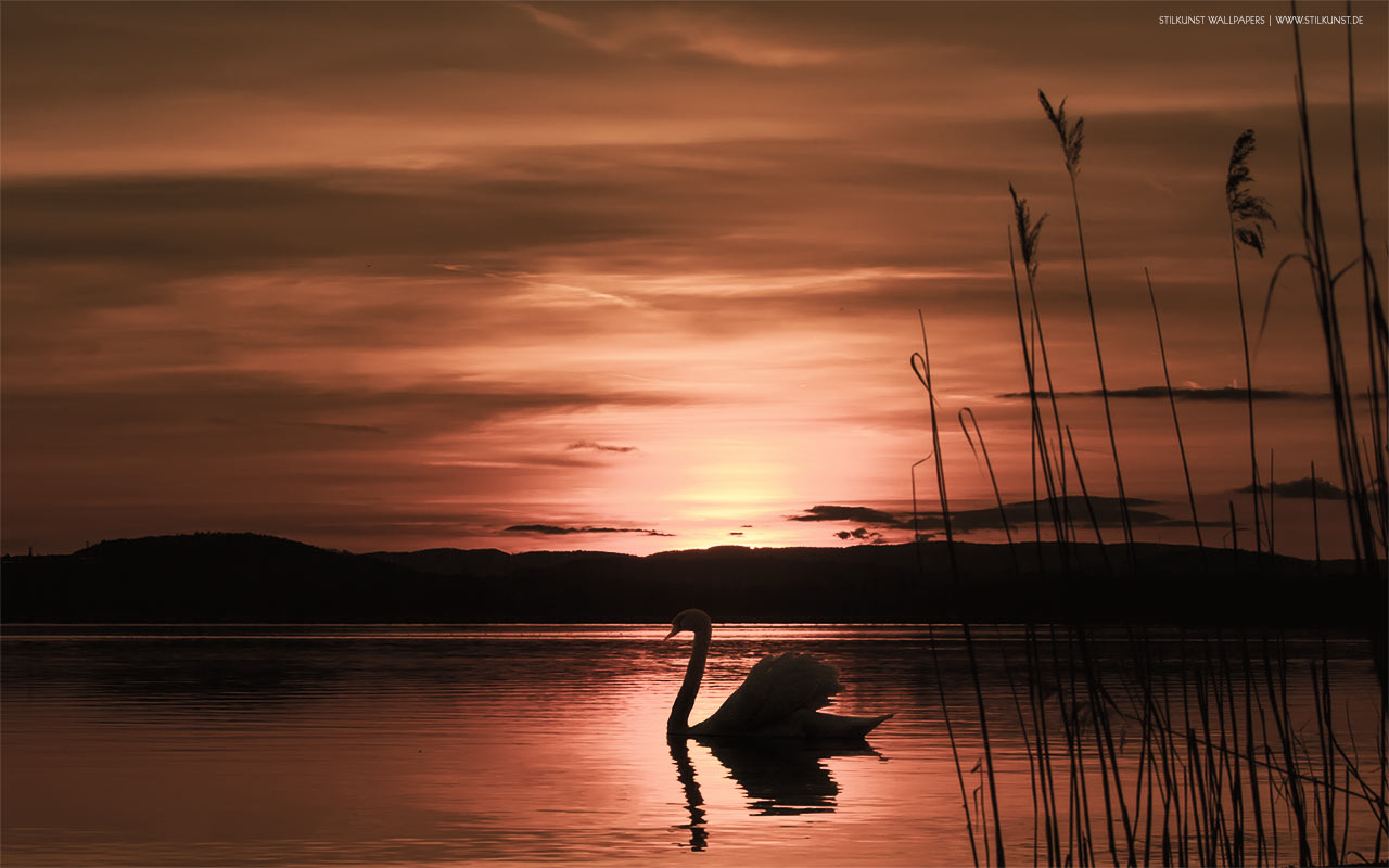 Sonnenuntergang | 1280 x 800px | Bild: ©by Sabrina | Reiner | www.stilkunst.de | Lizenz: CC BY-SA
