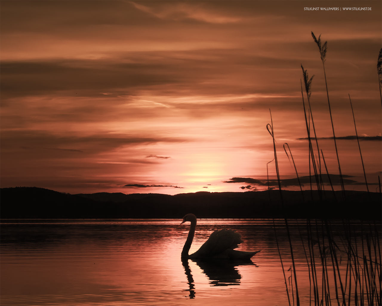 Sonnenuntergang | 1280 x 1024px | Bild: ©by Sabrina | Reiner | www.stilkunst.de | Lizenz: CC BY-SA
