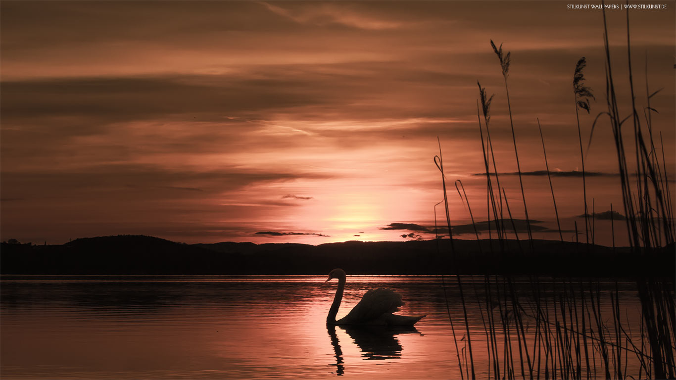Sonnenuntergang | 1366 x 768px | Bild: ©by Sabrina | Reiner | www.stilkunst.de | Lizenz: CC BY-SA