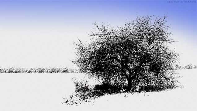 Winterlandschaft | 636 x 358px | Bild: ©by Sabrina | Reiner | www.stilkunst.de | Lizenz: CC BY-SA