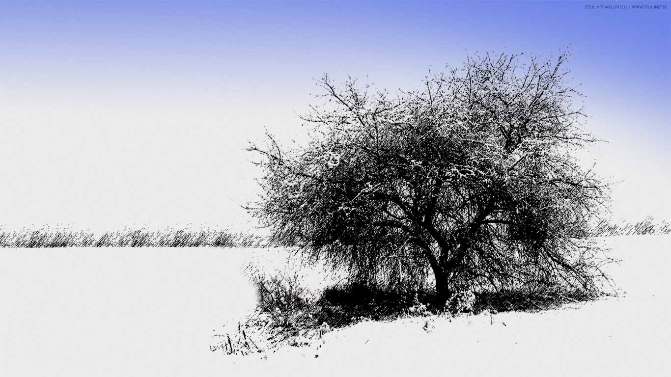 Winterlandschaft | 1366 x 768px | Bild: ©by Sabrina | Reiner | www.stilkunst.de | Lizenz: CC BY-SA