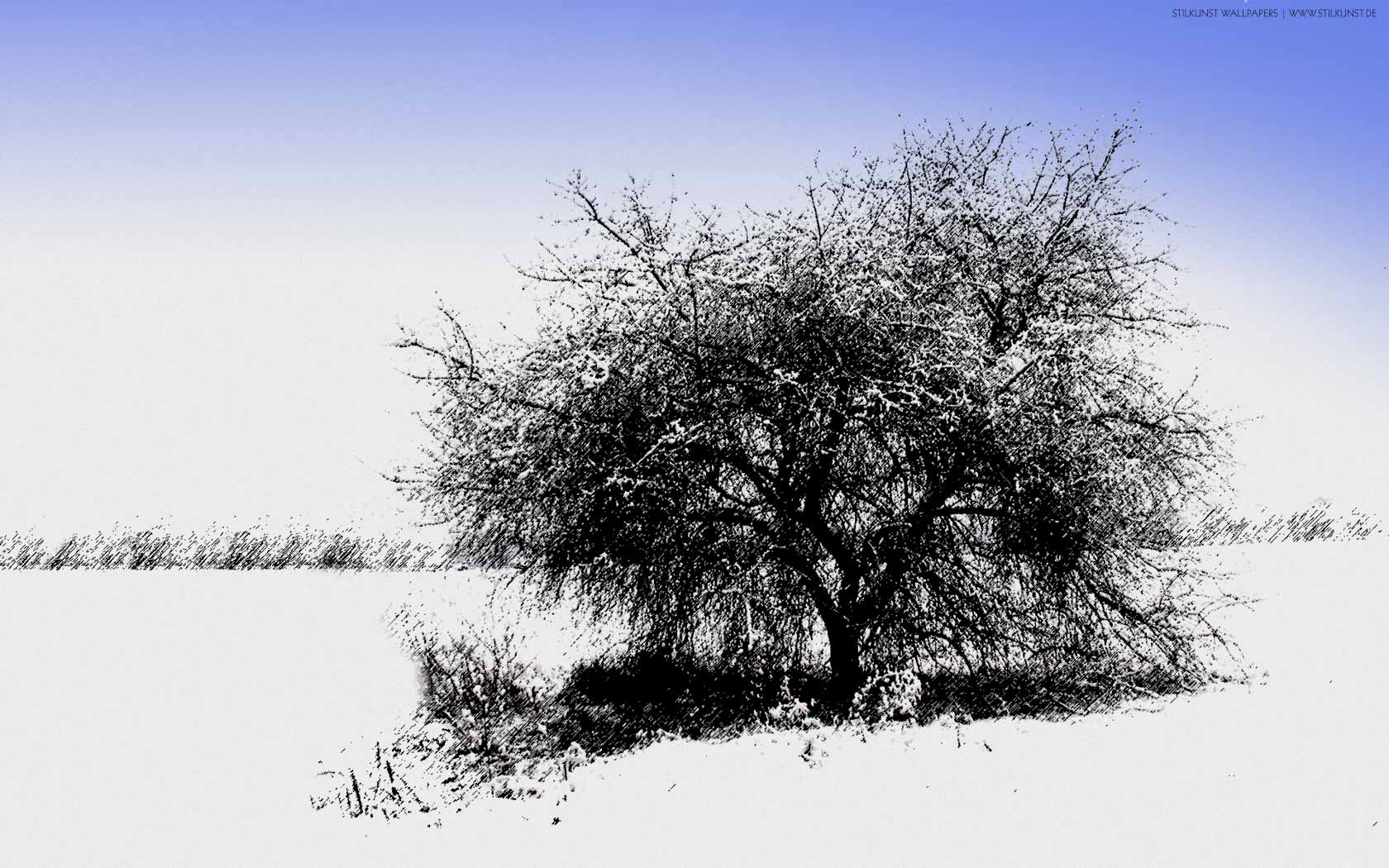 Winterlandschaft | 1680 x 1050px | Bild: ©by Sabrina | Reiner | www.stilkunst.de | Lizenz: CC BY-SA